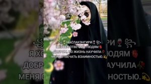 💫ЦЫГАНСКАЯ ПЕСНЯ 2026💫МЕЛОДИЯ ПУШКА 💥 РЕК