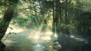 КОГДА РЯДОМ НЕТ НИКОГО... ролик от Яны