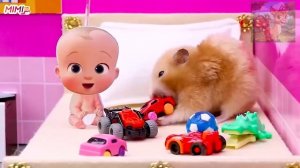 Бэби босс плачет и создает проблемы, а маленький хомячок не справляется с ролью няни