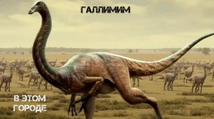 Галлимим - В этом Городе