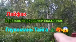 Глухомань. Тайга. Рыбалка