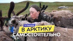 Колгуев: арктический остров оленеводов. Как организовать путешествие своими силами?
