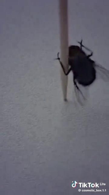 Slaveeeeeeeeeeeeeeee