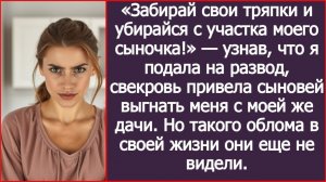 Свекровь привела сыновей выгнать меня с моей же дачи. | ИСТОРИИ ИЗ ЖИЗНИ | АУДИО РАССКАЗЫ | СЛУШАТЬ