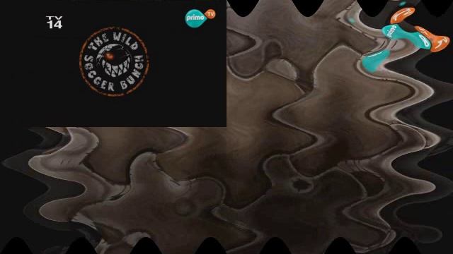 SPARTA RREMIX The Wild Soccer Bunch Intro