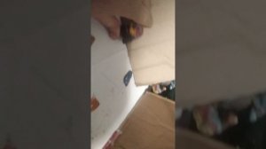 VID_20260320_174407.mp4