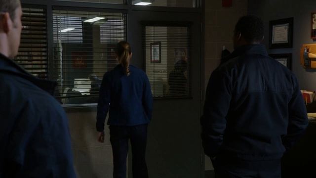 Сериал Чикаго в огне - 2 сезон 16 серия / Chicago Fire
