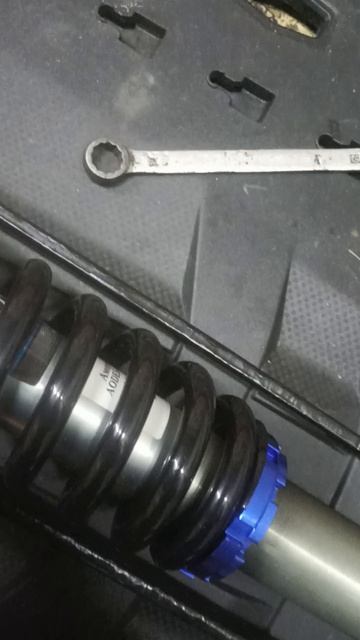 Аодес 1000 WT день пятый .