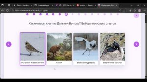 Дальний Восток олимпиада для школьников на УЧИ РУ Разбор заданий и ответы!!!