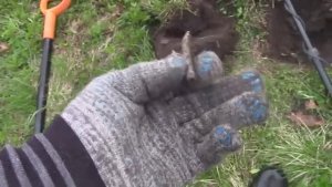 Поиск Золота!Находка Во Дворе, Под Дубом!