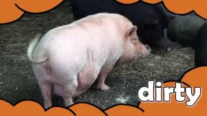 Big Big Big Adjectives Song for Kids [get.gt]