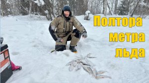 - 23, полтора метра льда и погода для сороги. Зимняя рыбалка 2026.