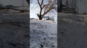 п. Аркуль , ул. Пушкина, 20  марта