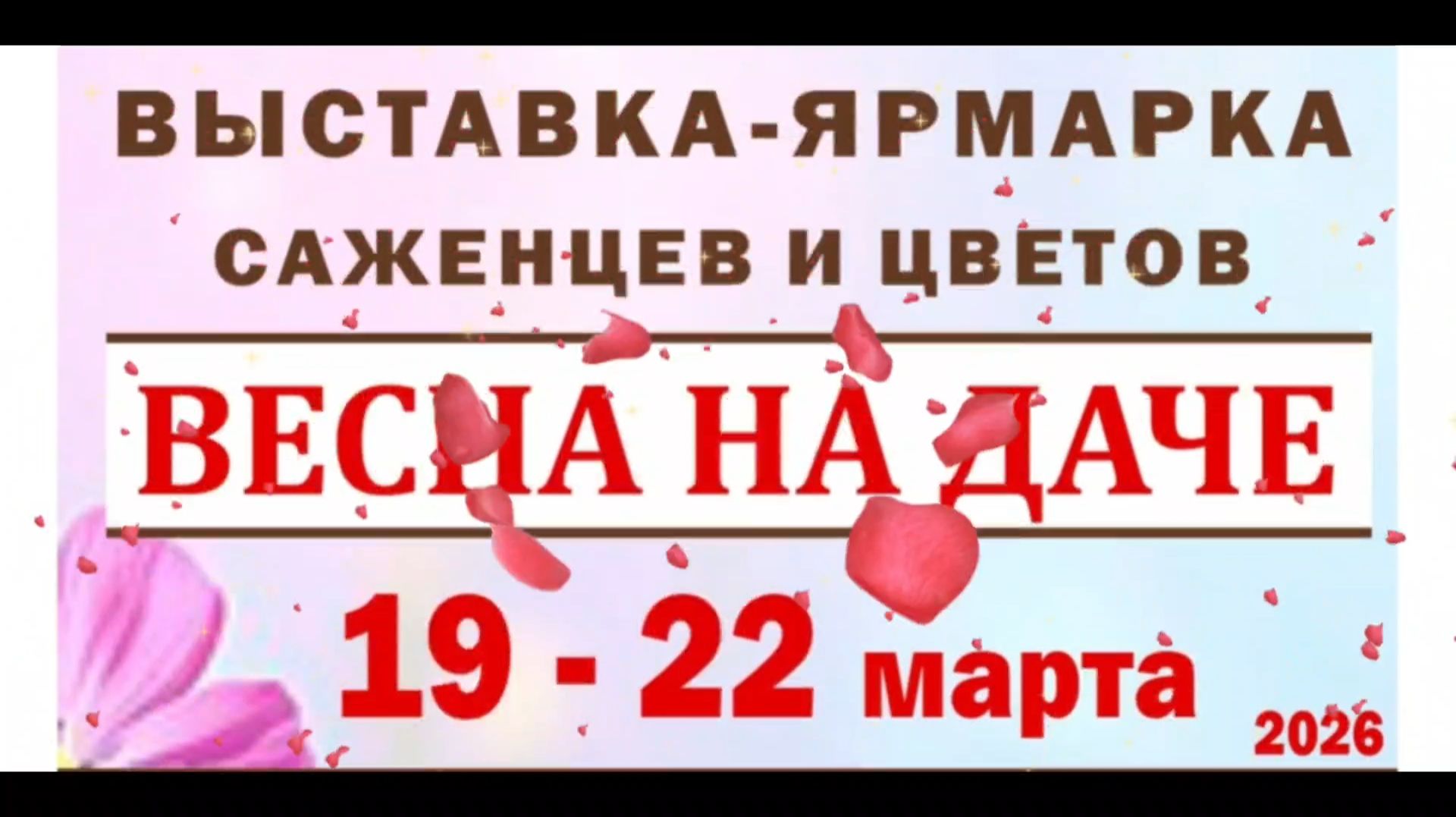Выставка-ярмарка саженцев и цветов в Краснодаре.