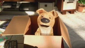 Добрый и поучительный мультфильм Подарок (Русский перевод)