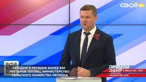 В Ставропольском крае динамично развивается тепличное овощеводство