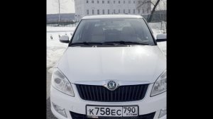 Фабия белая