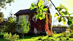 Осеннее. Сентябрьский день.