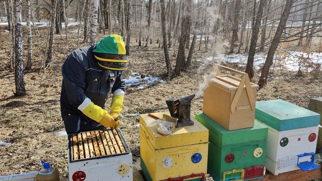 Весенняя подкормка и стимуляция пчелиных семей