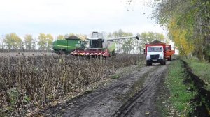 Продукция воронежского агропрома экспортировалась в 18 стран, включая Китай