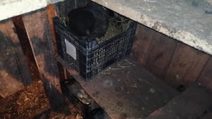 КВОЧКИ! Сколько всего КВОЧЕК у меня? Зачем мне столько?