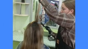 Виктория на «Абилимпиксе»: шаг за шагом к мечте!