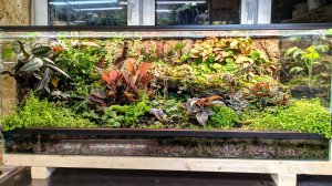 Флорариум своими руками