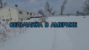 СЕЛЬЧАНКА В АМЕРИКЕ