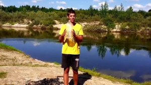 20-03-2026похищенный для леса ЧАСТЬ 357