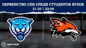 Кронверкские Барсы - Лисы / 21.03.2026