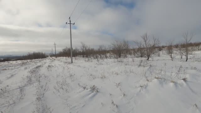 ЗИМНЯЯ ОХОТА НА ЗАЙЦА В САРАТОВСКОЙ ОБЛАСТИ