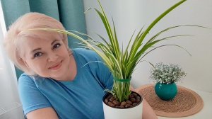 ВЯЖУ И ХЛОПОЧУ ПО ДОМУ