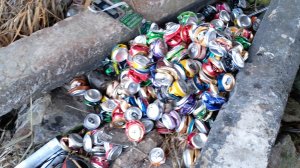 Плющим Банки