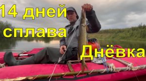 #3 Приполярный Урал 08.2025. Дневка. Сплав с рыбалкой по р. Пага, Лемва.