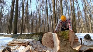 14.03.26 ПОРУБАС (7)