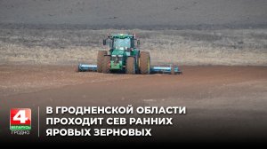 В Гродненской области проходит сев ранних яровых зерновых