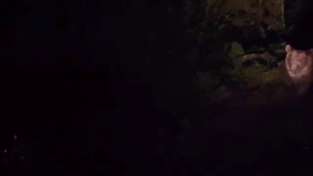 ТРИ МЕДВЕДЯ НОЧЬЮ ОКРУЖИЛИ МАШИНУ… мы даже боялись дышать