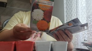 Занимаюсь посадкой перца,огурцов, петунии, целозии и флокса