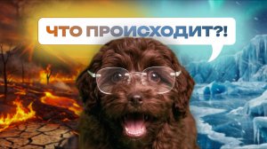 Рррасследование: Где прячется тепло?