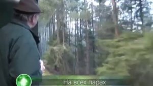 На всех парах_общий