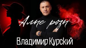 Владимир Курский - "Алые розы". Военно-Патриотический альбом ЗА НАШИХ. #курский #россия #занаших