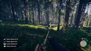 Форест🌳🌳🌳🌳