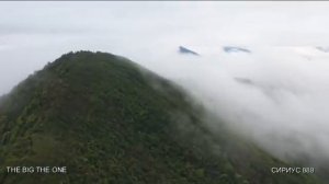 БОГАТЫЕ КРЫСЫ КОПАЮТ НОРЫ.