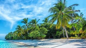 мультфильм для детей .... ну почти))  Слушать музыку. Музыка онлайн