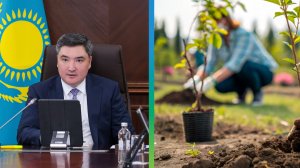 Премьер Казахстана поручил ускорить строительство лесопитомников