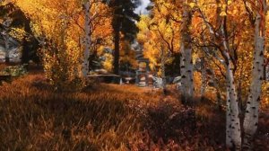 Skyrim & Oblivion  ESO Calming Study Music Cozy Autumn Vibes
