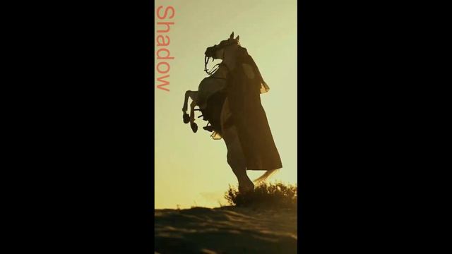 Islamic videos #shorts #Shadow #shadow #MrShadow #islam #Islam #Islamic #islamic