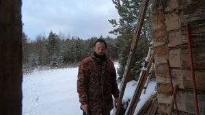 Охота на волка