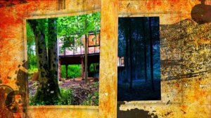 Малобюджетный дом и висячие сады !