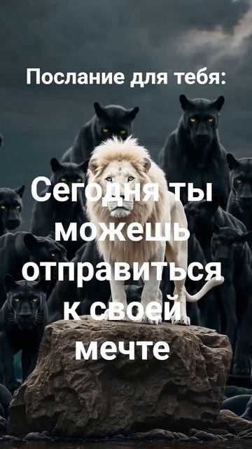 Хотите улучшить свою жизнь, подписывайтесь на канал